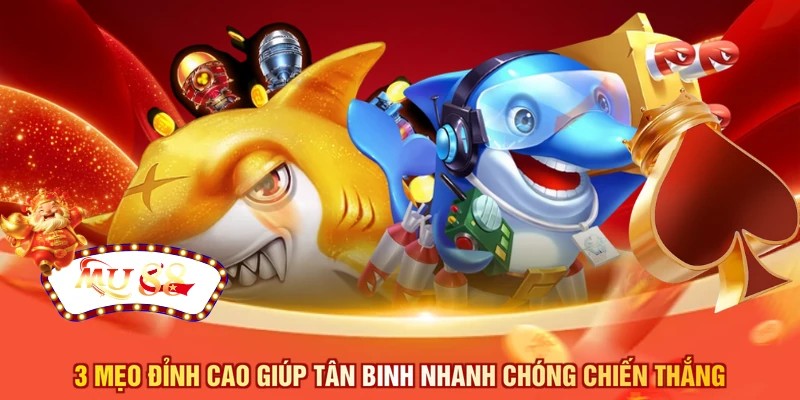 3 mẹo đỉnh cao giúp tân binh nhanh chóng chiến thắng
