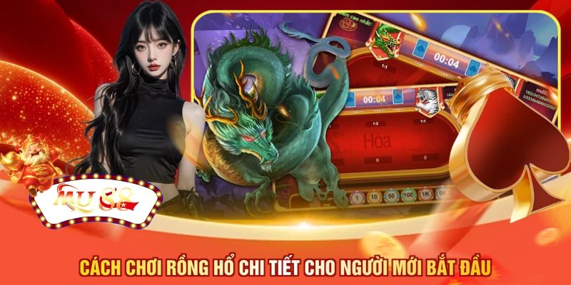 Cách chơi rồng hổ chi tiết cho người mới bắt đầu