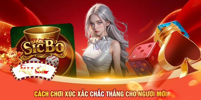 Cách chơi xúc xắc chắc thắng cho người mới