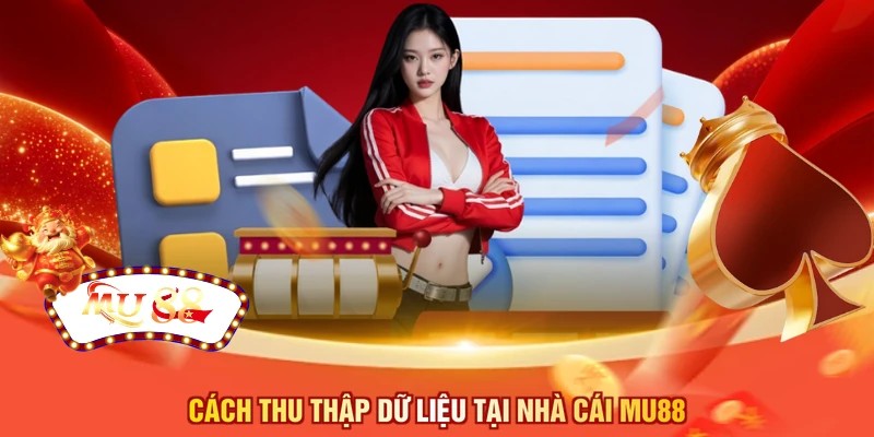Cách thu thập dữ liệu tại nhà cái MU88