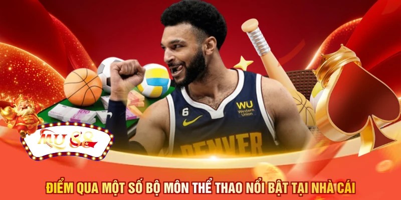 Điểm qua một số bộ môn thể thao nổi bật tại nhà cái