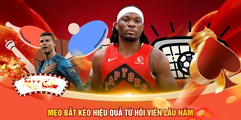 Mẹo bắt kèo hiệu quả từ hội viên lâu năm