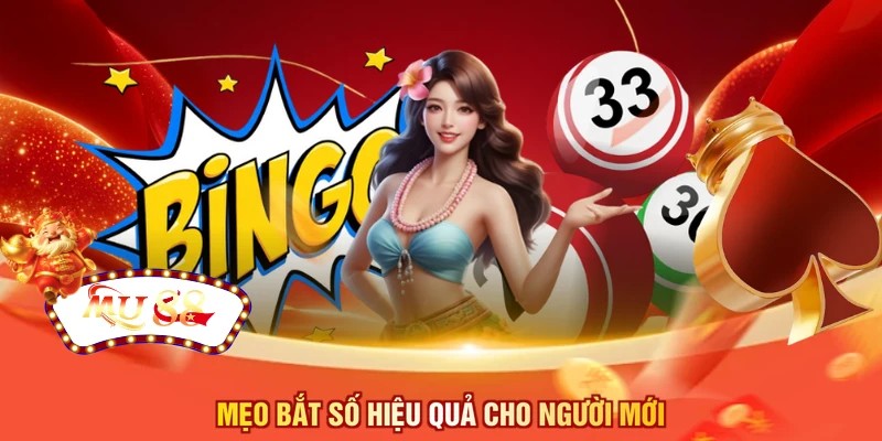 Mẹo bắt số hiệu quả cho người mới