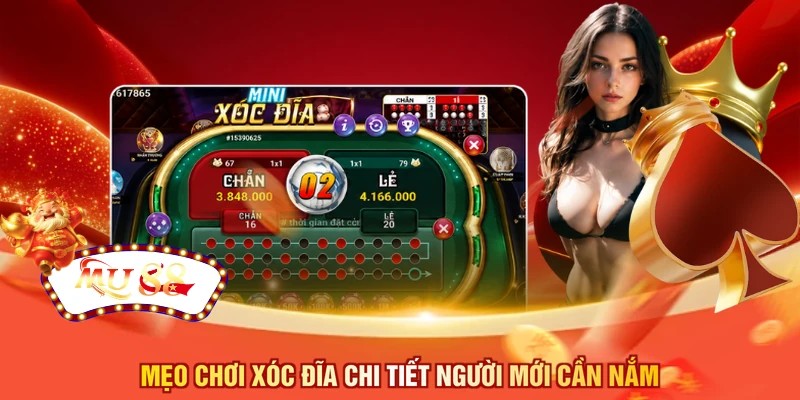 Mẹo chơi xóc đĩa chi tiết người mới cần nắm