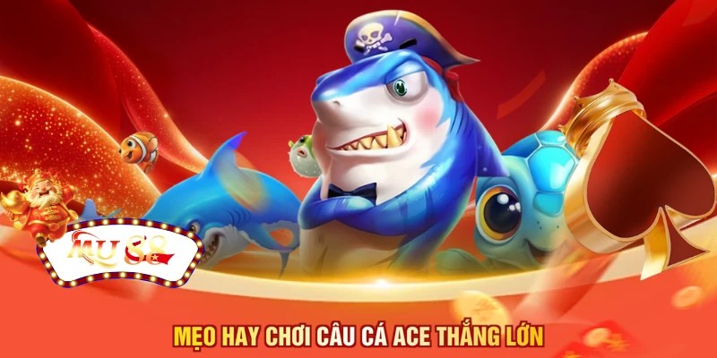Mẹo hay chơi câu cá ACE thắng lớn