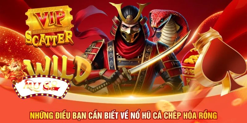 Những điều bạn cần biết về nổ hũ cá chép hóa rồng