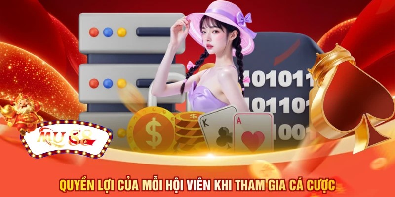 Quyền lợi của mỗi hội viên khi tham gia cá cược