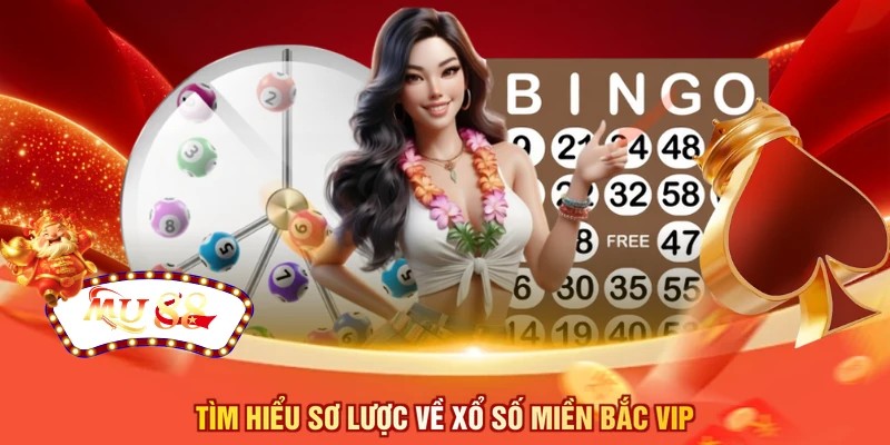 Tìm hiểu sơ lược về xổ số miền Bắc VIP 